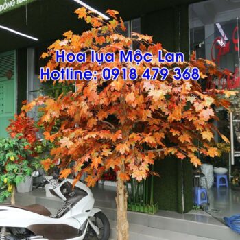 trang trí quán trà, cà phê, sân vườn