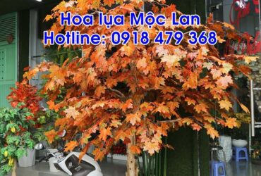 trang trí quán trà, cà phê, sân vườn